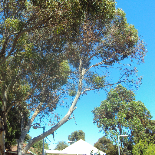 This Is The Biggest Scandal And Injustice Of Our Times